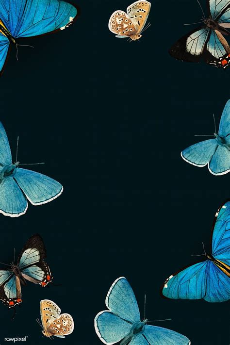 Aesthetic Wallpaper Blue Butterfly Black Background Download Free Mock Up