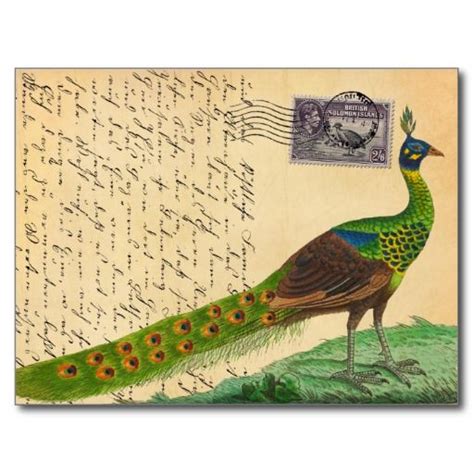 Vintage Peacock Letter With Stamp And Postmark Postcard Zazzle Carte