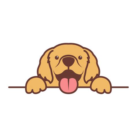 Golden Retriever Illustrations Royalty Free Vector Graphics And Clip Art