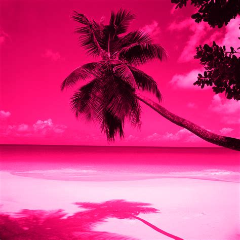 Pink Cool Backgrounds Wallpaper Cave