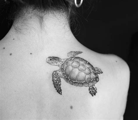 Tattoos Of Sea Turtles Home Design Ideas