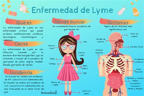 Infografía De La Enfermedad De Lyme Somosdisc