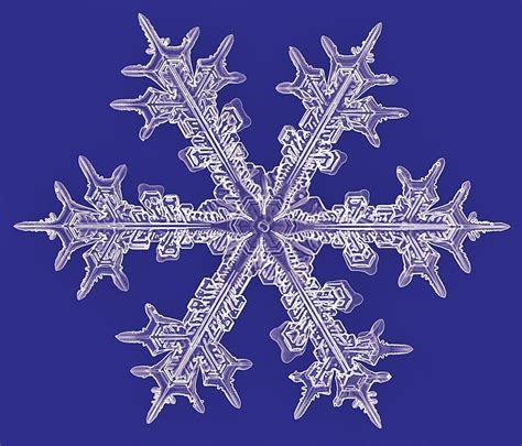 Radial Symmetry Snowflake