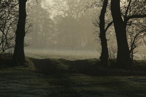 Sunrise On A Frosty Morning On A Meadow Surrounded By Trees Stock Photo