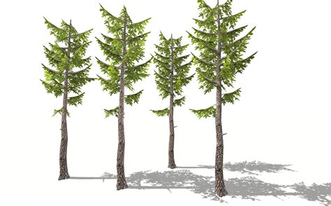Forest Pine Tree 3d 3d Model 6 Unknown 3ds Stl Obj Fbx Dae