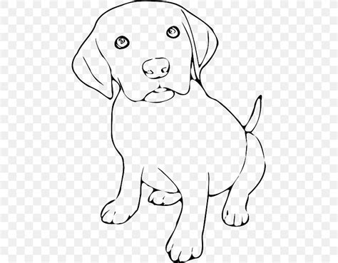 Labrador Retriever Puppy Beagle Border Collie Clip Art