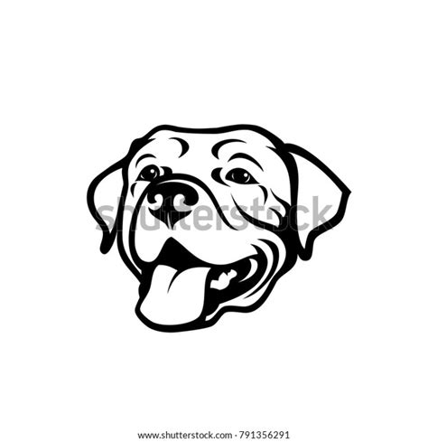 Labrador Retriever Dog Vector Illustration Stock Vector Royalty Free