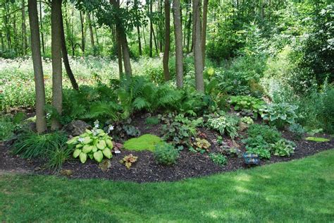 Answers Managing Wooded Backyard Houzz Wooded Backyard Landscape