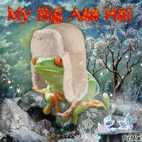My Big Ass Hat Album On Imgur