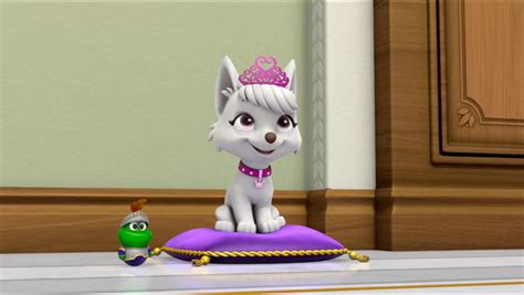 Discuss Everything About Paw Patrol Relation Ship Wiki Fandom