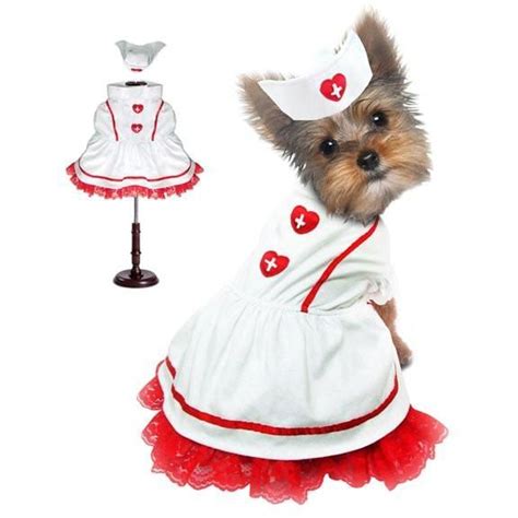 Sweetheart Nurse Dog Costume Girl Dog Costumes Pet Costumes Nurse