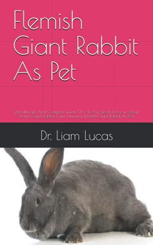 Flemish Giant Rabbit As Pet The Ultimate And Complete Guide On All You