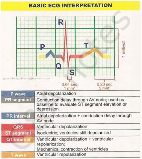 Nice Ekg Chart Nursing Mnemonics Pinterest