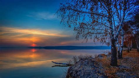 Hd Wallpaper Swamp Near Sod And Trees Landscape Birch Lake Water