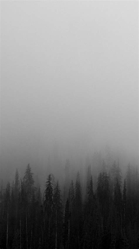 Find hd wallpapers for your desktop, mac, windows, apple, iphone or android device. Black-and-White-Mist-Forests-Wallpaper - iPhone Wallpapers