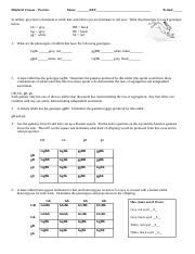 How to set up a dihybrid cross worksheet. Chapter 10 Dihybrid Cross Worksheet Answers Key