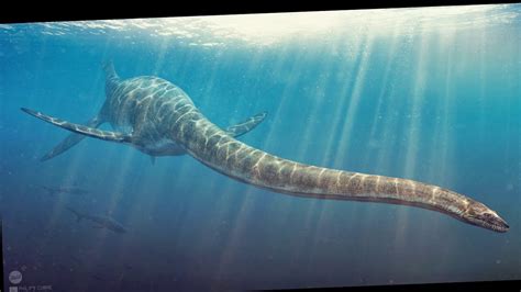 5 Terrifying Prehistoric Sea Monsters Youtube