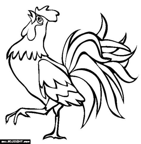 Rooster camisa is home to portuguese inspired products, we design our own apparel collection pulling from inspiration of the culture. Rooster Crowing In Farm Animal Coloring Page : Kids Play Color