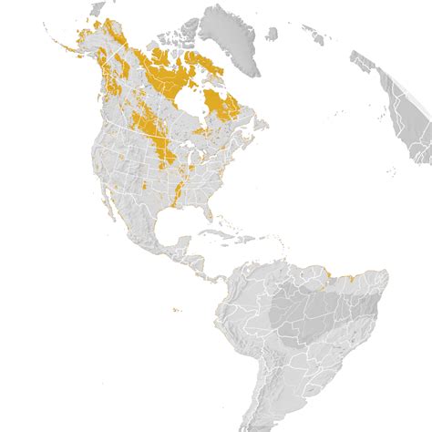 Semipalmated Plover Range Map Post Breeding Migration Ebird Status