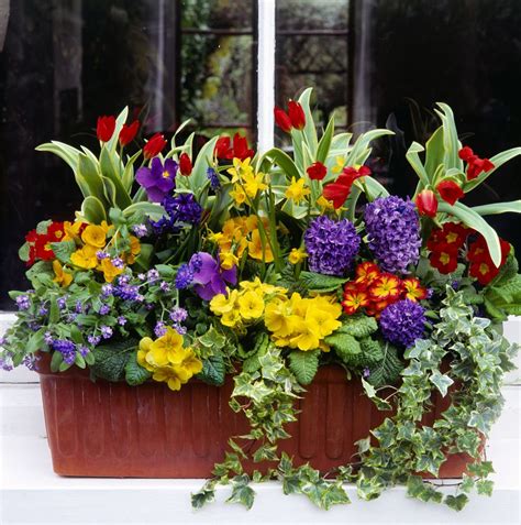 Experiment with different flowers in your window box to find the ones that suit you best. Copy These Window Boxes