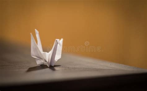 Origami Of A Birds Using White Paper Stock Photo Image Of Life Still