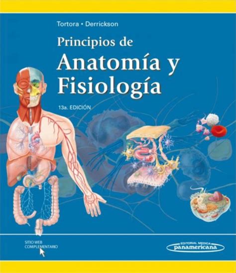Principios De Anatomía Y Fisiología En Laleo