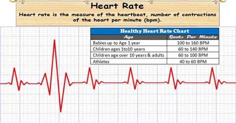 What Is A Heart Rate Or Pulse Rate Number Of Time Heart Beats Per