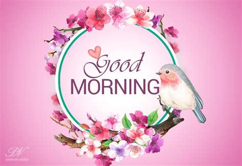 Good Morning Keep Healthy And Stay Safe Be Happy Premium Wishes