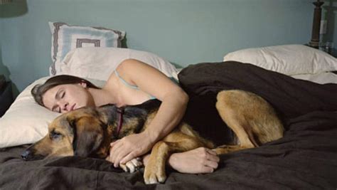 ma che bello dormire con il cane solo che non è una buona idea Cronache