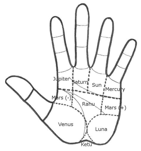 Hand Maps Areas Of The Hand