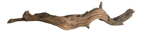 Koyal California Driftwood Chairish