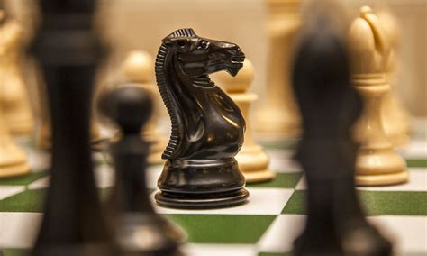 Cropped 2048px Knight Chess 1 Vereenigd Amsterdamsch Schaakgenootschap
