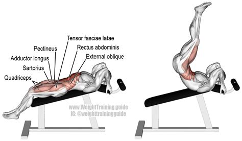 The hanging leg raise involves hanging in a dead hang position whilst lifting either straight or bent legs up towards your torso. Incline straight leg and hip raise guide and video ...