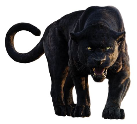 Panther Sin Fondo Png Play