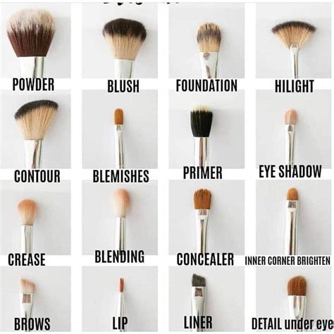makeup brush use guide