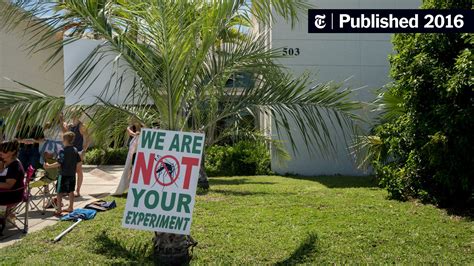 In Florida Keys Some Worry About ‘science And Government More Than