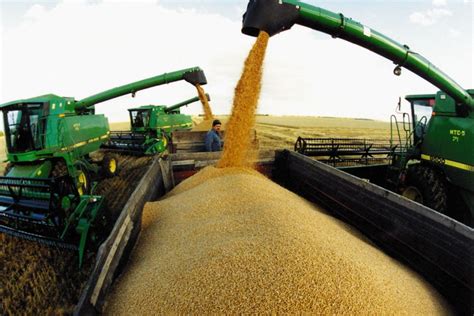 In Kazakhstan 856 Of The Grain Area Was Harvested 164 Million Tons