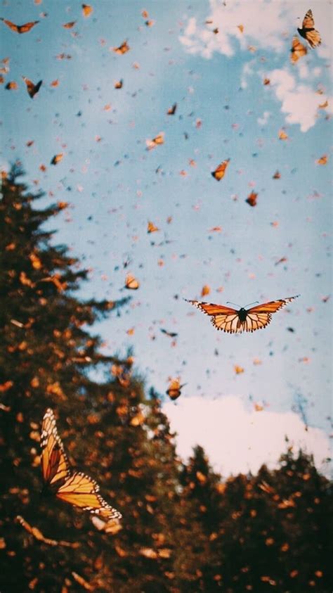 Tons of awesome purple aesthetic hd wallpapers to download for free. Butterfly Aesthetics Wallpapers - Wallpaper Cave