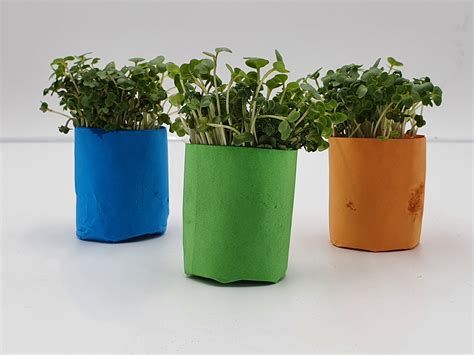 Make Sow Grow T Set Includes Pot Maker Seeds And Soil E Pots