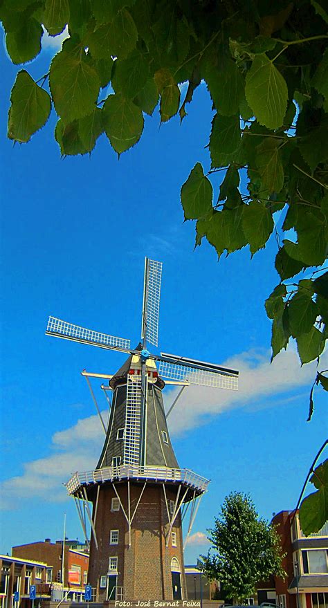 Delfzijl Dutch Windmills Windmill Netherlands