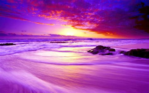Purple Beach Sunset 4k