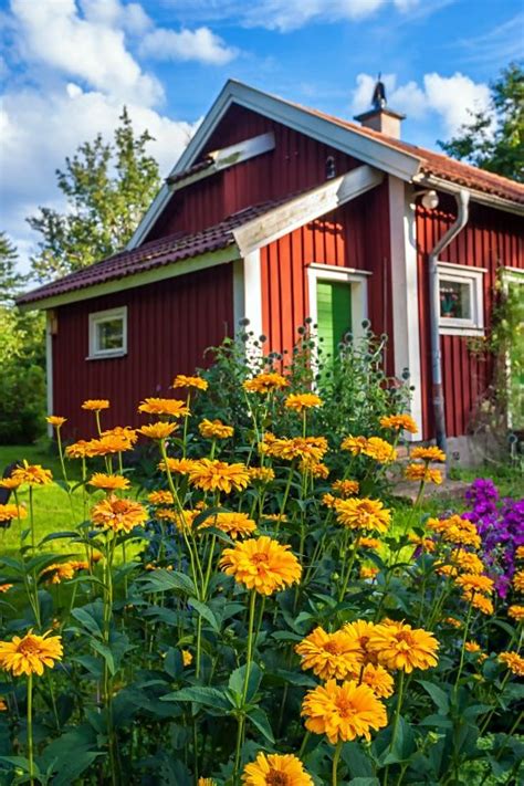 On the street of manhasset avenue and street number is 53. Cottage Garden: The Beauty of Messy Flowers in 2020 ...