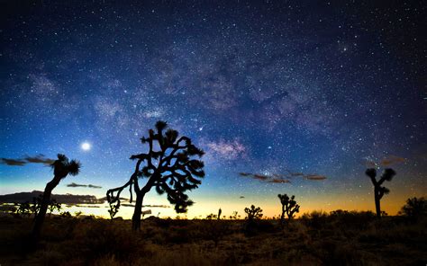 Milky Way At Night Desert Landscapes With Rocks And Cactus Joshua Tree