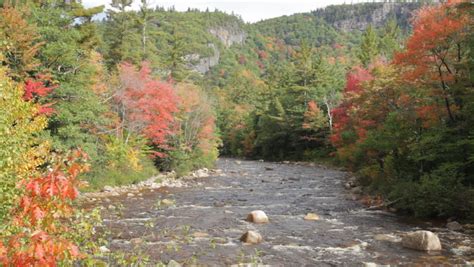 The Swift River And Colorful Autumn Foliage In The White Mountains Of
