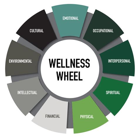 Phe Wellness Wheel Student Health And Counseling Center Uw Parkside