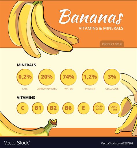 Banana And Vitamins Infographics Royalty Free Vector Image