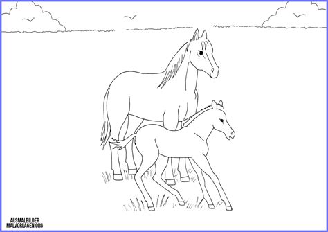 Pferde ausmalbilder und malvorlagen kostenlos ausdrucken und ausmalen. Ausmalbilder Pferde Mit Fohlen - MalVor