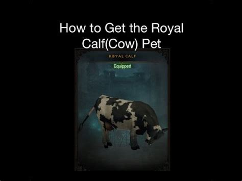 How do i get pets? Diablo 3 - How to Get the Royal Calf(Cow) Pet - YouTube