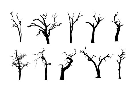Spooky Tree Png Photos Png Mart