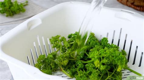 6 manières de conserver du persil frais